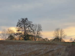 La vallée de l'Ysieux (Luzarches)